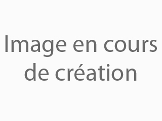 Détails : Comment et pourquoi utiliser le meilleur comparateur d'assurance auto ?